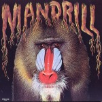 mandrill---_mandrill-_101