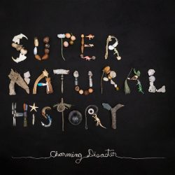 Super Natural History - album cover